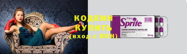 дмт Вяземский